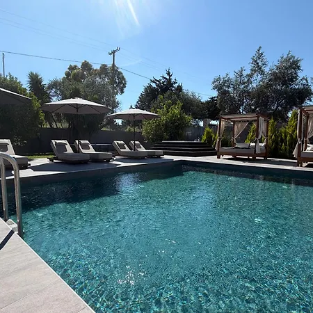 S&t Villa *